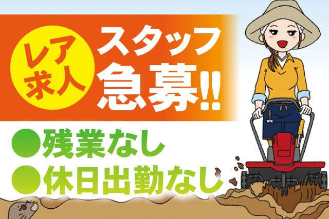 有限会社いどやの求人・転職情報