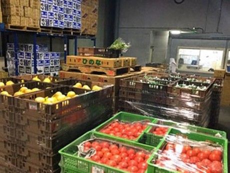 セントラルフルーツ　配送センターの派遣求人情報