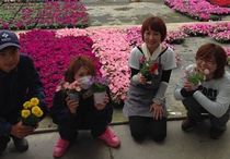 株式会社斉藤農場 上野農場のアルバイト・バイト求人情報-03