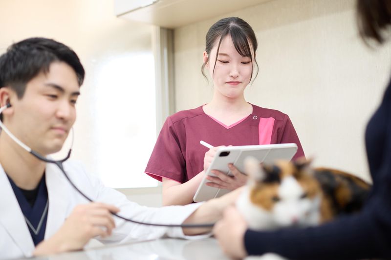 有限会社茶屋ヶ坂動物病院の求人2