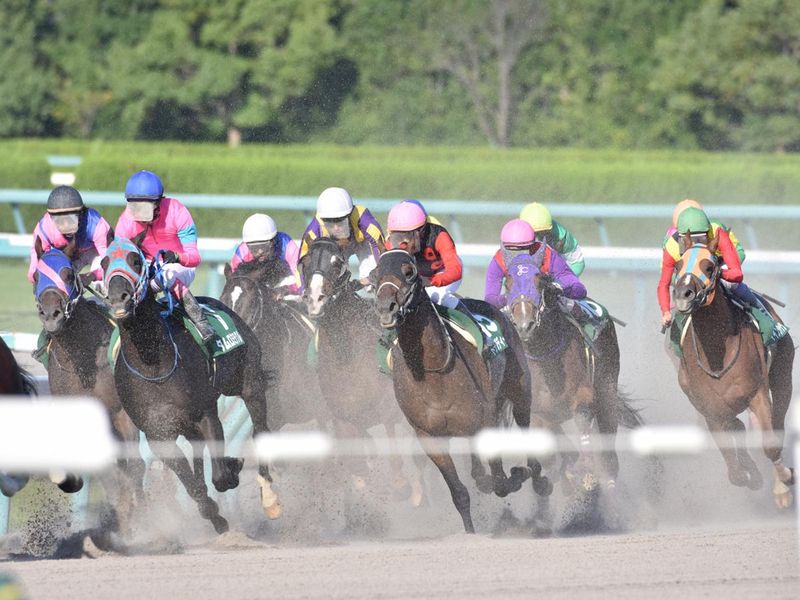 縁エキスパート株式会社/大井競馬場のアルバイト・バイト求人情報-03