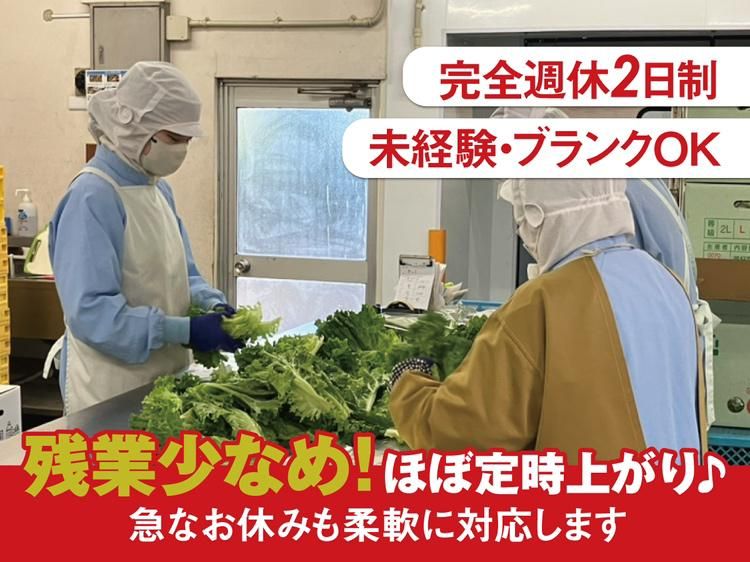 株式会社ヨシケイ松戸　松戸営業所のアルバイト・バイト求人情報-02