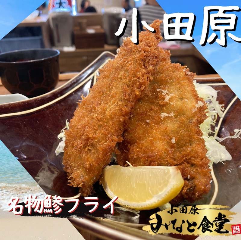 小田原みなと食堂 [株式会社トールウィン]のアルバイト・バイト求人情報-03