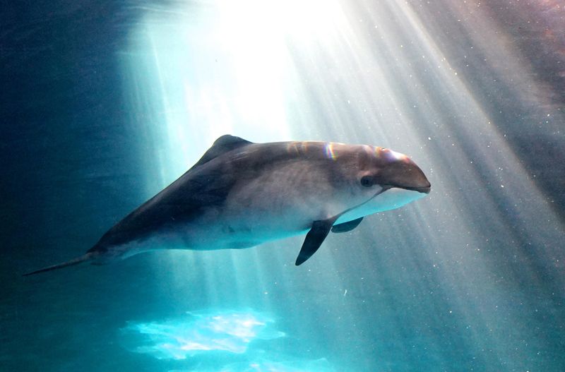 おたる水族館(株式会社小樽水族館公社)のアルバイト・バイト求人情報-03