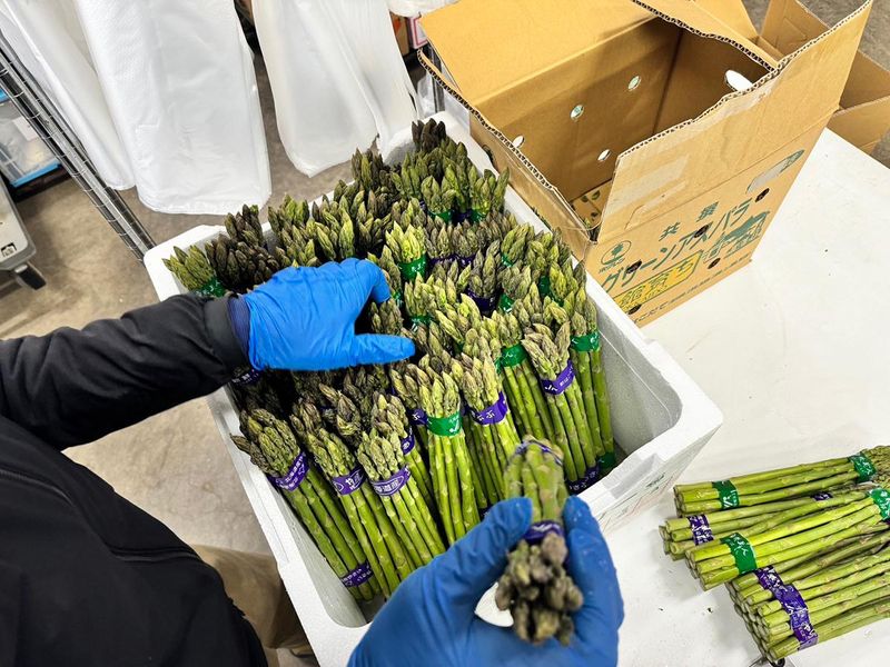 株式会社緑屋 八軒倉庫のアルバイト・バイト求人情報-02