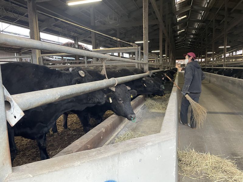 株式会社浅野畜産の求人・転職情報