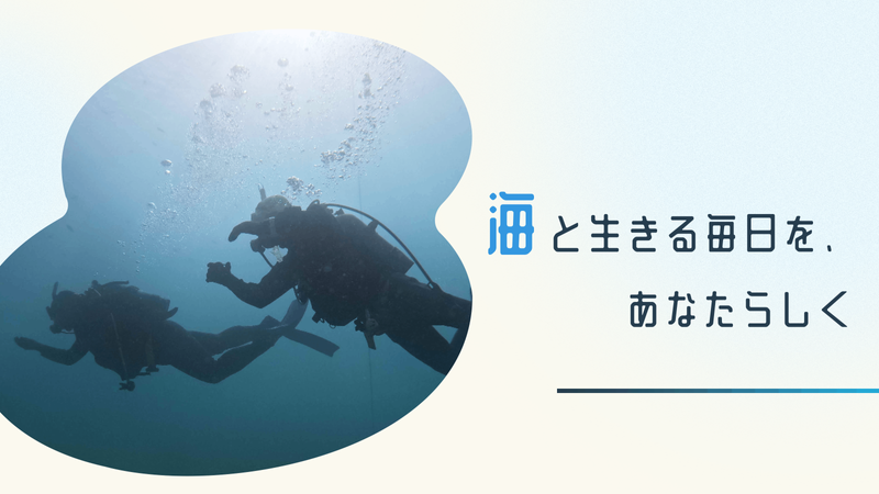 株式会社MASHの求人・転職情報