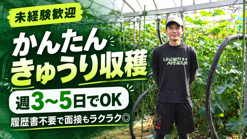 ファーム ヤノのアルバイト・バイト求人情報