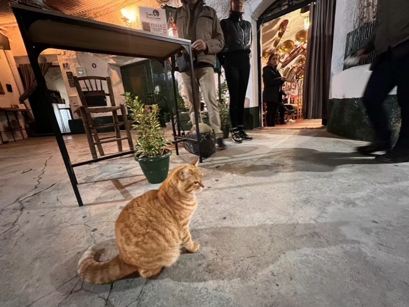 株式会社ジーズ・コーポレーションの求人・転職情報