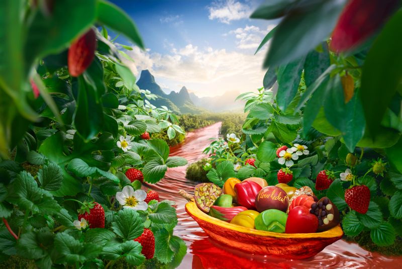 柏高島屋/サリーヒルズ・ジャパン株式会社のアルバイト・バイト求人情報-03