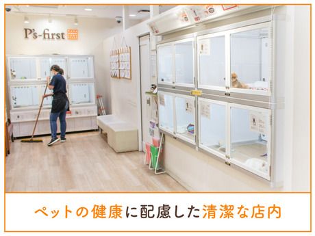 ペッツファースト　福津店の求人情報