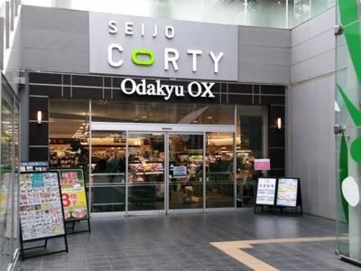 Odakyu OX X