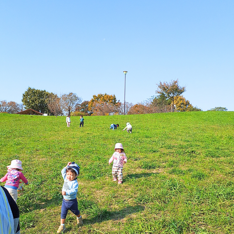 社会福祉法人みなみ福祉会の求人・転職情報