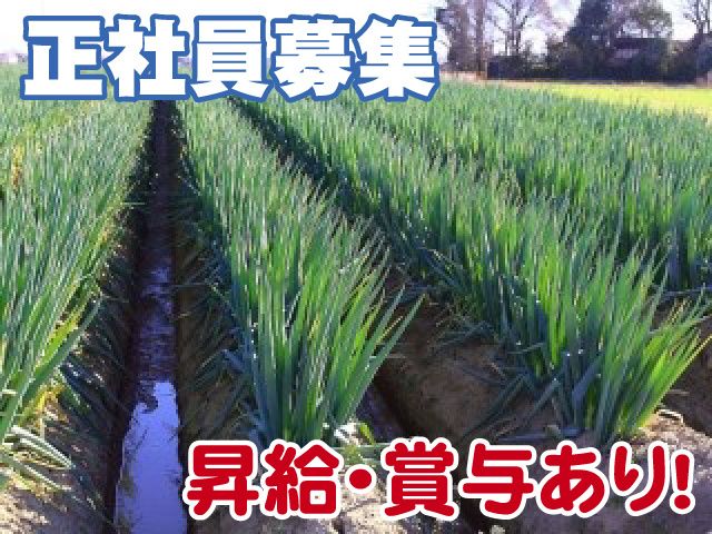 株式会社吉岡の求人・転職情報