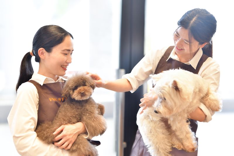 PET-SPA 調布仙川店のアルバイト・バイト求人情報-03