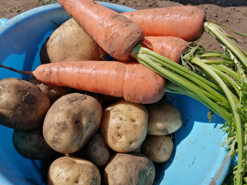 株式会社ファクティブの求人・転職情報