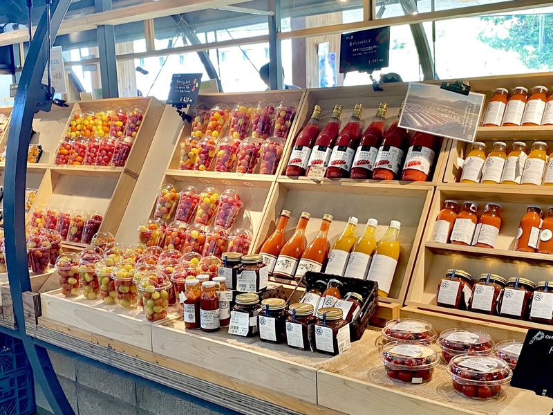 VISONのアルバイト・バイト求人情報-03