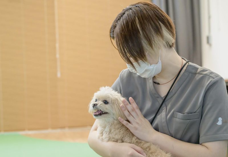 dog funのアルバイト・バイト求人情報-05