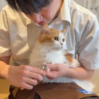 ペットショップCoo&RIKU 新宿三丁目店のアルバイト・バイト求人情報-05