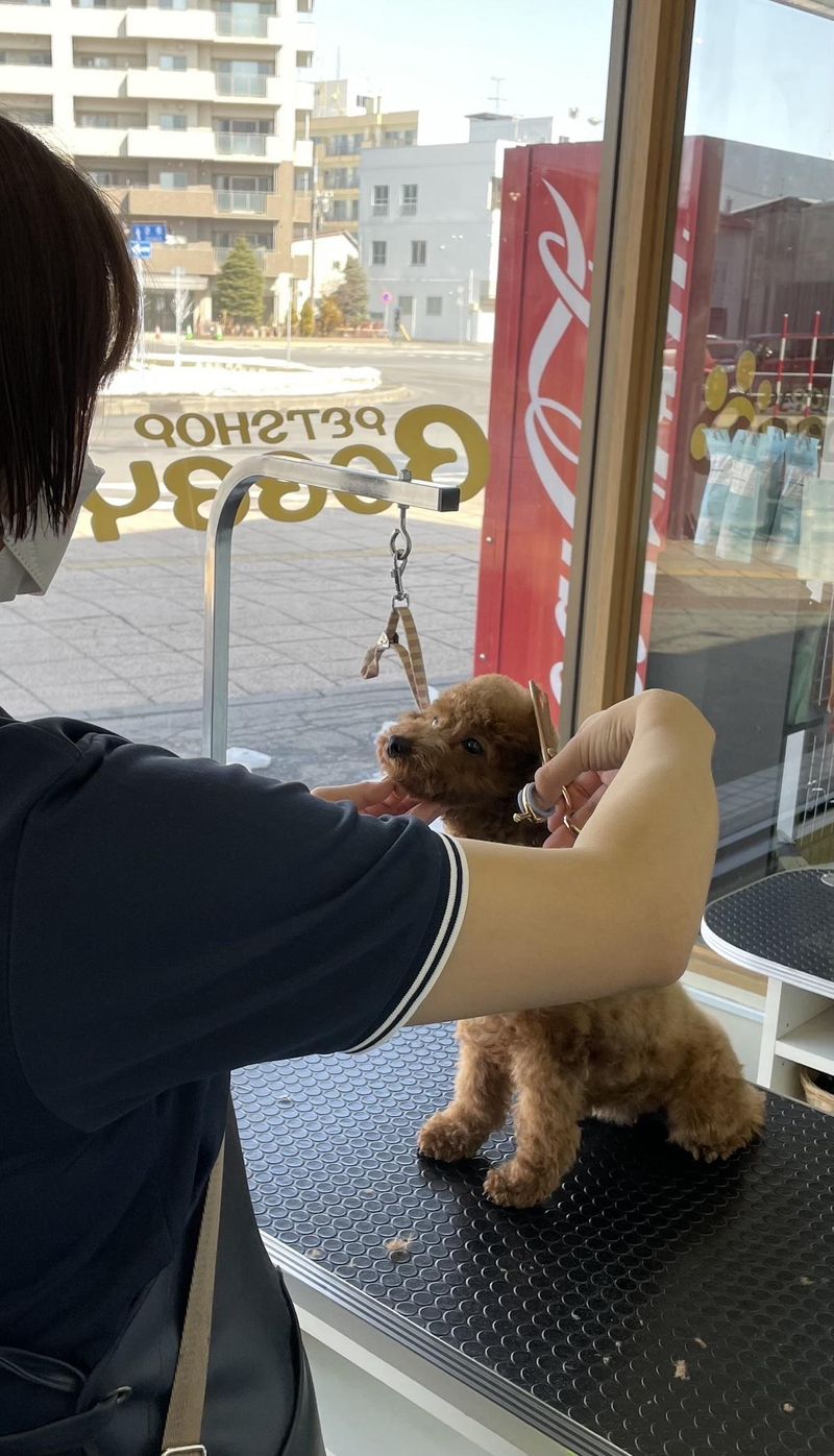 ペットショップボビー旭川店のアルバイト・バイト求人情報-02