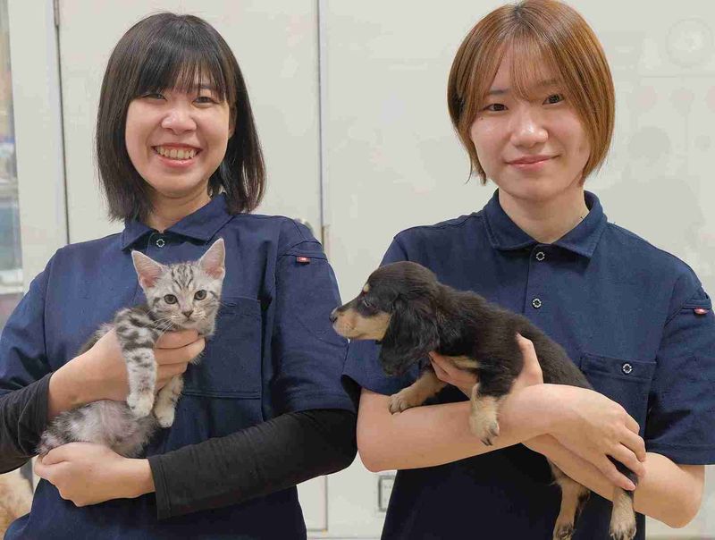 ひごペットフレンドリー　洛北阪急スクエア店のアルバイト・バイト求人情報-04