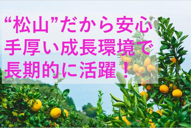 株式会社テクノプロ　テクノプロ・IT社の求人・転職情報