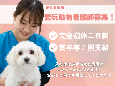 株式会社ＨＡＭＥＣの求人・転職情報