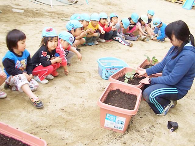 社会福祉法人 なみはや福祉会-0035の求人・転職情報