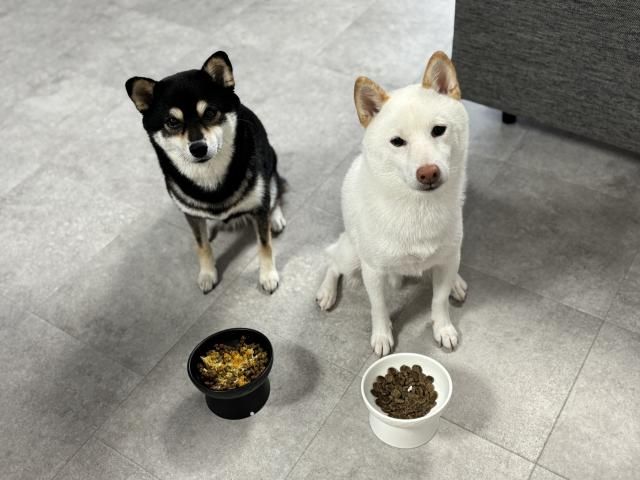 株式会社JWEBGATE/金沢区内のアルバイト・バイト求人情報-12