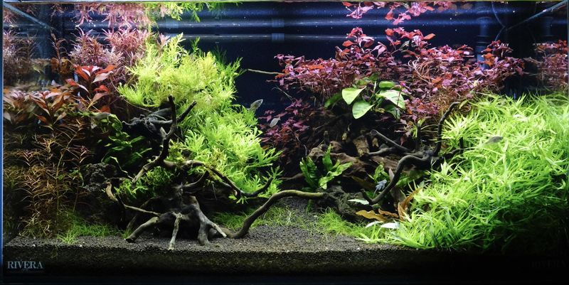 吉田観賞魚販売株式会社のアルバイト・バイト求人情報-04
