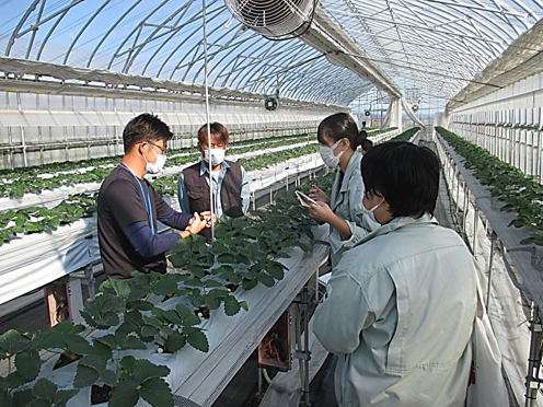 新潟県　農林水産部(新潟県庁)のアルバイト・バイト求人情報-03