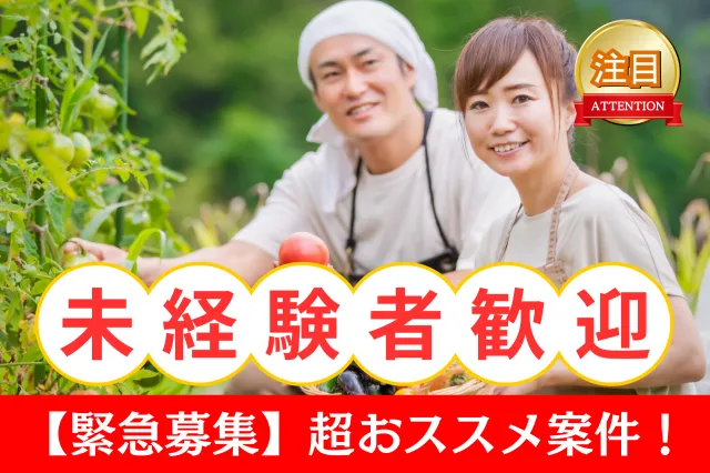 株式会社サポートシステムのアルバイト・バイト求人情報