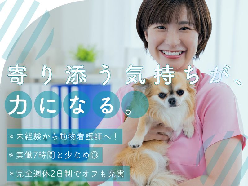 株式会社ストークの求人・転職情報