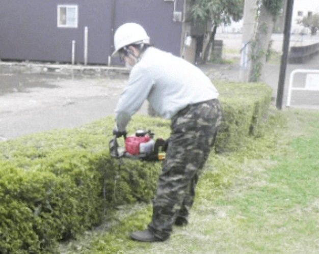 株式会社真緑-0001の求人・転職情報
