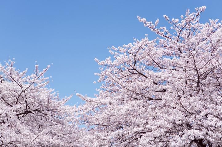 エム・ユー・コミュニケーションズ株式会社の求人・転職情報