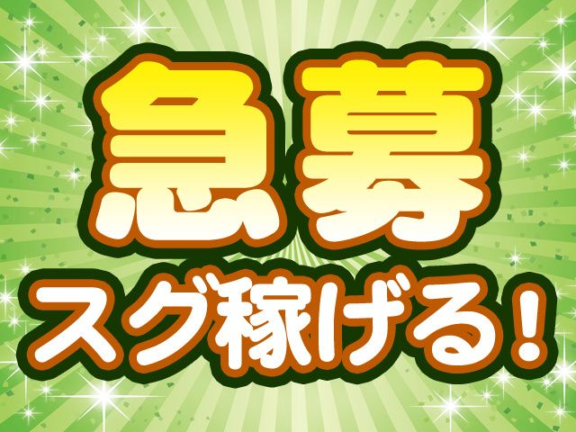 セキュリナ・セキュリティー・サービス株式会社の求人情報