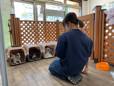 プレイボゥ　向ケ丘遊園店のアルバイト・バイト求人情報-04