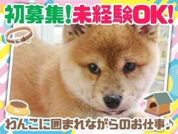 株式会社ファイブワンの求人・転職情報
