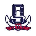 株式会社千葉県民球団の派遣求人情報