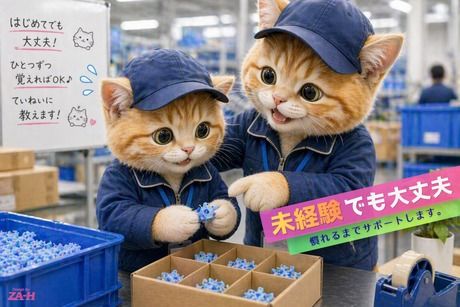株式会社ヒューマンアイズの求人・転職情報