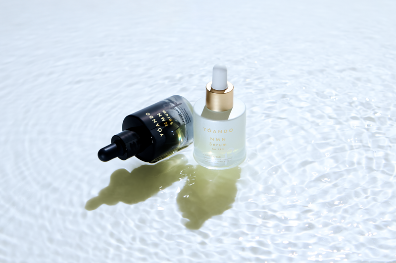 株式会社阿部養庵堂薬品　北千住オフィスのアルバイト・バイト求人情報-02