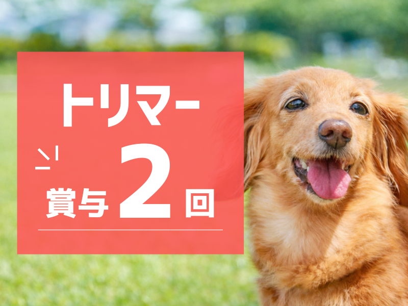 合同会社Ｉ　Ｗａｎの求人・転職情報