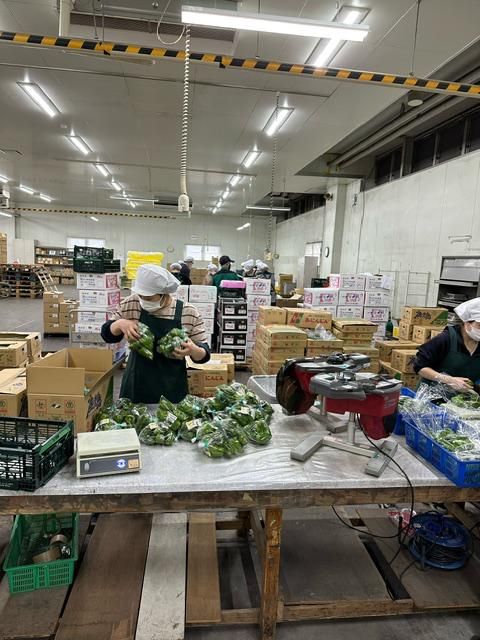 株式会社　早川食品のアルバイト・バイト求人情報-05