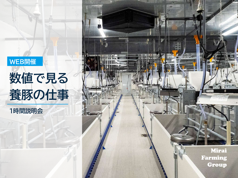 【WEB】数値で見る養豚の仕事 1時間説明会(1h)
