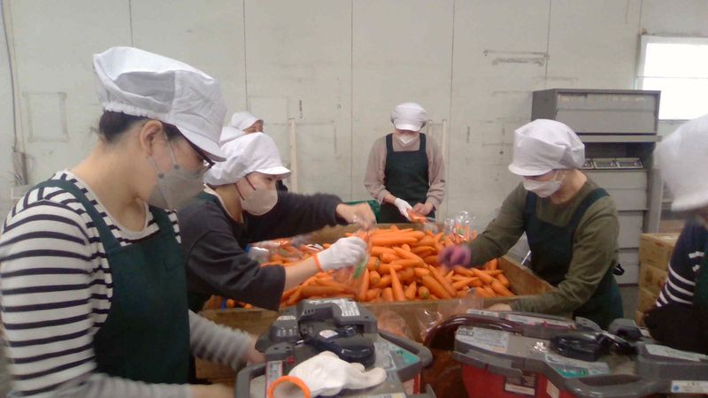 株式会社　早川食品の派遣求人情報