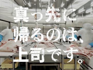 ビーフプレイス 株式会社の求人・転職情報