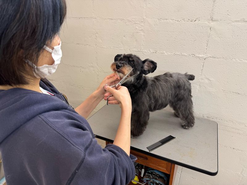 株式会社Ｃｏｐａｎの求人・転職情報