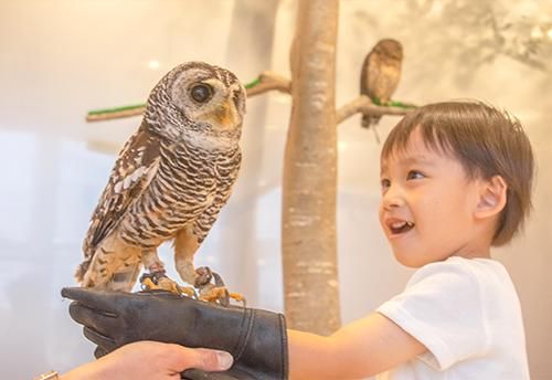 Moff animal cafe ららぽーと福岡店のアルバイト・バイト求人情報-04