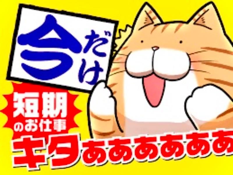 KSプレミアムスタッフ株式会社　/fhc305の派遣求人情報