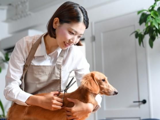 株式会社天龍建設工業の求人・転職情報